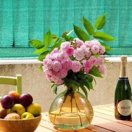 Appartamento Terrace, Bnb Rickeys *